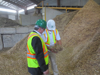 wood shavings